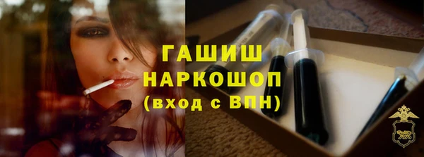 сатива Волоколамск