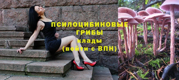 jwh Володарск