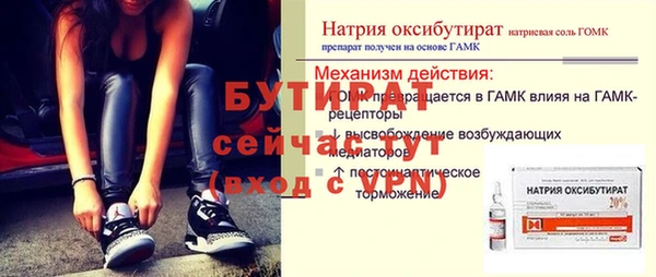 сатива Волоколамск